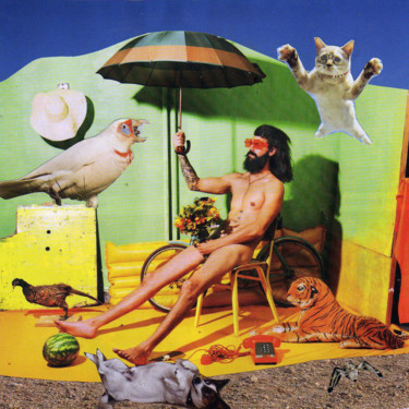 L'Homme au bouclier de fleurs Collages intitulée "L'Homme au bouclier…" par Boyfred, Œuvre d'art originale, Collages