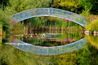Photographie intitulée "H2O Seneffe" par Benoît Laval, Œuvre d'art originale