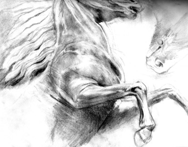 图画 标题为“cheval 41” 由Grégory Geng, 原创艺术品, 铅笔