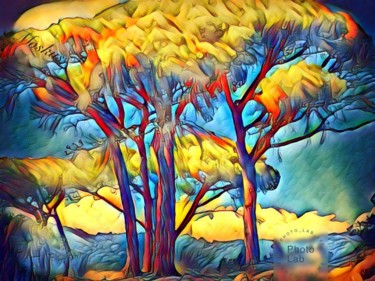 J aime ces arbres