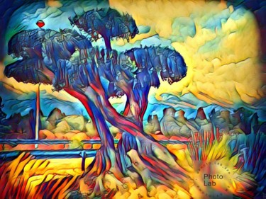 Des arbres en Corse