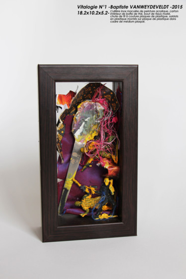 Sculpture intitulée "bvw-vitalogie1-2015" par Baptiste Vanweydeveldt, Œuvre d'art originale, Techniques mixtes