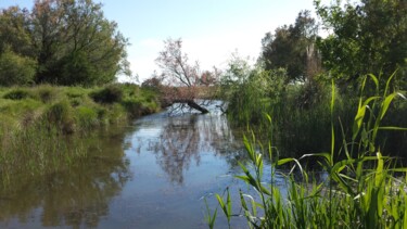 Tableau d arbres à ma façon