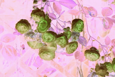 Fleurs Acidulées.#artistsupportpledge Arts numériques intitulée "Fleurs Acidulées.#a…" par Adèle Vahn, Œuvre d'art originale, Travail numérique 2D