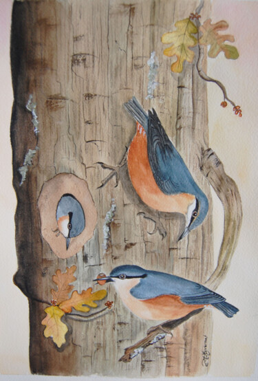 sitelles torchepot - aquarelle originale signée Painting titled "sitelles torchepot…" by Patricia Giroldini Hyvernat, Original Artwork, Watercolor