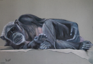 Joseph le chimpanzé Peinture intitulée "Joseph le chimpanzé" par Catherine Costet (Lccat), Œuvre d'art originale, Pastel