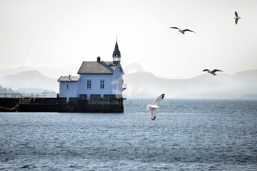 Photographie intitulée "ENTRÉE DU FJORD D'O…" par Jean-Marc Philippe (Jimpy), Œuvre d'art originale, Photographie numérique