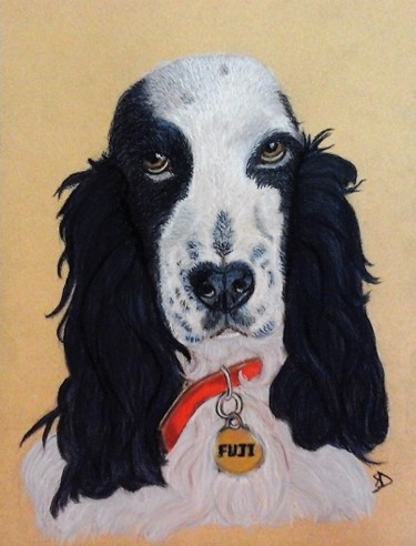Drawing titled "Fuji" by Sophie Daumy, Original Artwork, Pastel