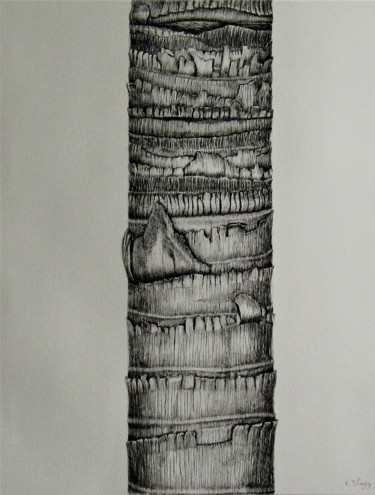 Drawing titled "Tronc du palmier de…" by Isabelle Stagg, Original Artwork, Ink