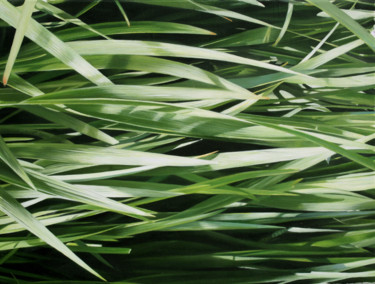 Herbes XII Painting titled "Herbes XII" by Jacques Bodin, Original Artwork, Oil