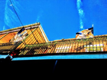 Fotografie getiteld "New Orleans Saints…" door Lisa Bourgeois, Origineel Kunstwerk