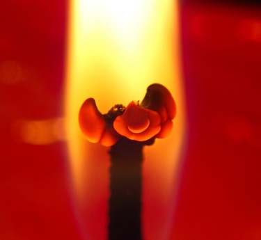 Photographie intitulée "0² Fire Life" par Steevens Hill, Œuvre d'art originale, Photographie numérique