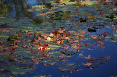 Photographie intitulée "Feuilles d’Automne" par Muriel Besson-Braem, Œuvre d'art originale