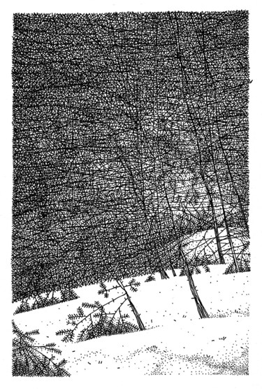 WINTER III Рисунок под названием "WINTER III" - Nikolay Biryukov, Подлинное произведение искусства, Гелевая ручка