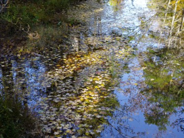 Fotografía titulada "seasons reflection" por Matthew Katt, Obra de arte original