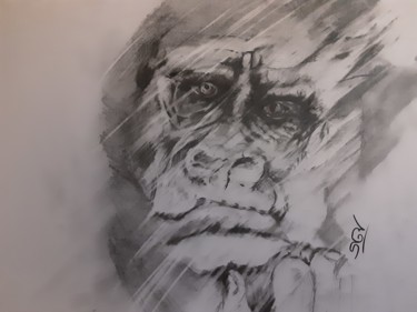 Drawing titled "le gorille triste" by Sylvain Grignon (sygry), Original Artwork, Graphite
