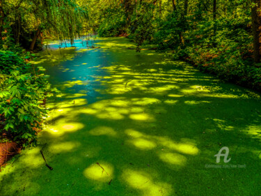 Photographie intitulée "La coulée verte" par Kam Bendi, Œuvre d'art originale
