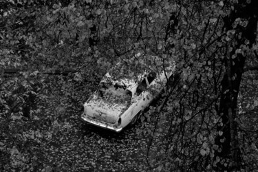 Фотография под названием "Осень" - Nikolay Biryukov, Подлинное произведение искусства, Цифровая фотография