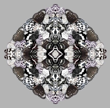 Printmaking titled "Midday metamorphosis" by Sumit Ratta, Original Artwork, Digital Print