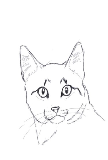 数字艺术 标题为“Chat blanc” 由Xavier Le Corre, 原创艺术品, 数字油画