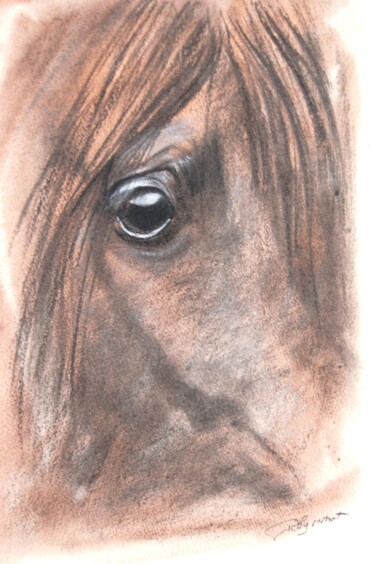 regard equin n2 - étude chevaux - dessin à la craie signé 「regard equin n2 - é…」というタイトルの描画 Patricia Giroldini Hyvernatによって, オリジナルのアートワーク, チョーク