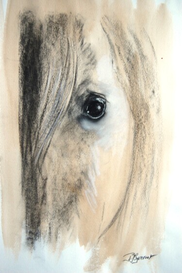 regard équin N3 -étude chevaux - dessin craie 「regard équin N3 -ét…」というタイトルの描画 Patricia Giroldini Hyvernatによって, オリジナルのアートワーク, チョーク