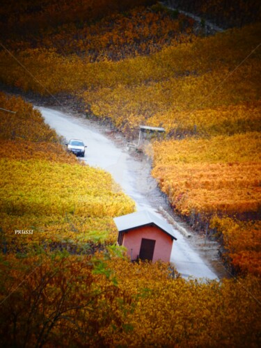 Automne valaisan.