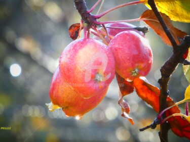 Automne valaisan.