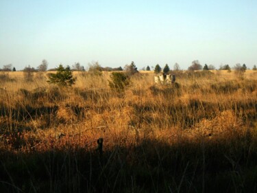 제목이 "Hautes Fagnes Belge…"인 사진 Janie B.로, 원작