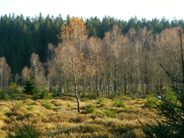 제목이 "Hautes Fagnes Belge…"인 사진 Janie B.로, 원작