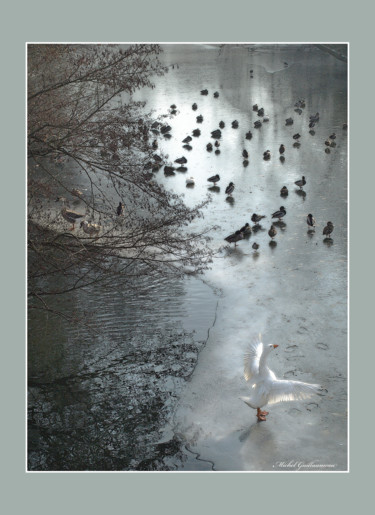 Photographie intitulée "Reveil matinal" par Michel Guillaumeau, Œuvre d'art originale, Photographie numérique