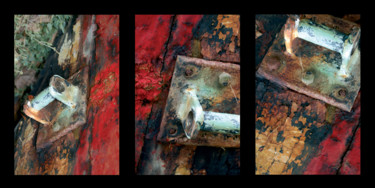 Fotografie mit dem Titel "Triptyque100a" von Laurence Rolland-Jibard, Original-Kunstwerk