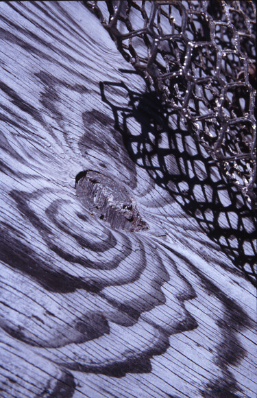 Photography titled "Ocelles - p3c1" by Jacques Jégo, Original Artwork