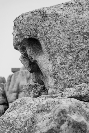 ouessantin songeur.jpg Fotografía titulada "ouessantin songeur.…" por Elisabeth Laplante, Obra de arte original, Fotografía digital