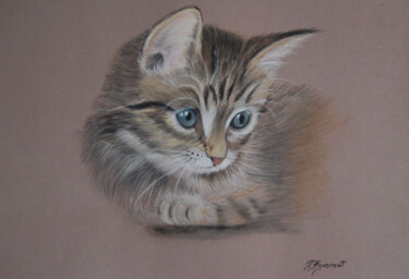 Pussy chaton tigré - pastel signé 제목이 "Pussy chaton tigré…"인 그림 Patricia Giroldini Hyvernat로, 원작, 파스텔