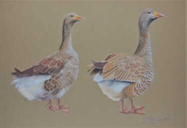 deux oies - pastel original signé Drawing titled "deux oies - pastel…" by Patricia Giroldini Hyvernat, Original Artwork, Pastel