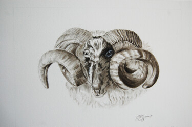 bélier - dessin original à l'encre -original signé 图画 标题为“bélier - dessin ori…” 由Patricia Giroldini Hyvernat, 原创艺术品, 墨