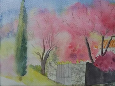 arbres de judee au printemps