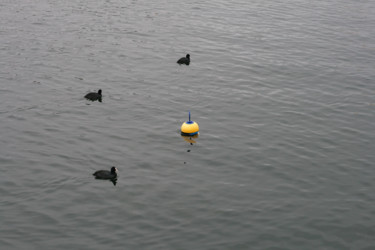 Фотография под названием "Yellow Buoy" - Nikolay Biryukov, Подлинное произведение искусства