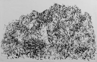 Peinture intitulée "45°28'364"N 2°59'42…" par Thomas Eeckman, Œuvre d'art originale, Encre