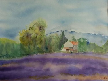 lavande sous le ventoux