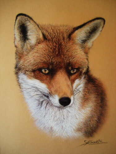 Painting titled "Renard roux" by Sylvie Geneste, Original Artwork, Pastel