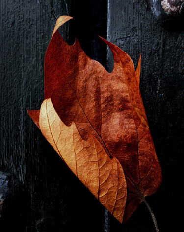 Photographie intitulée "Hurt." par Martin Vallis, Œuvre d'art originale, Photographie numérique