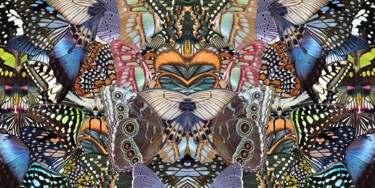 Printmaking titled "Flight Delight" by Sumit Ratta, Original Artwork, Digital Print