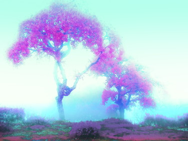 Mystical Fog Photographie intitulée "Mystical Fog" par Steevens Hill, Œuvre d'art originale