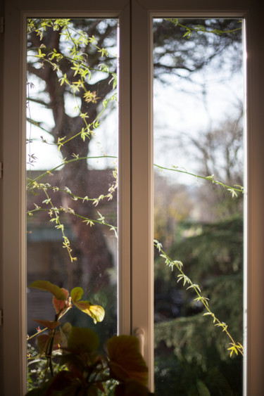 Photographie intitulée "Demandeur d'asile" par Gerard Jeanjean, Œuvre d'art originale