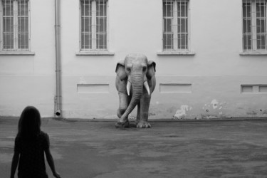 Фотография под названием "Boy and Elephant" - Nikolay Biryukov, Подлинное произведение искусства