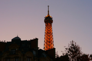 Фотография под названием "Parisian Roofs" - Nikolay Biryukov, Подлинное произведение искусства