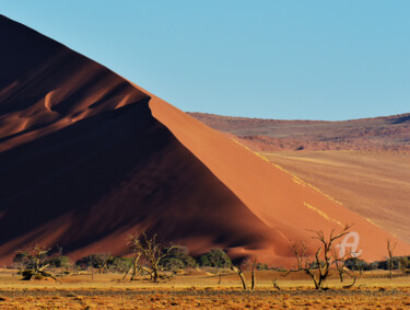Photographie intitulée "NAMIBIE 8" par Denis Poutet, Œuvre d'art originale