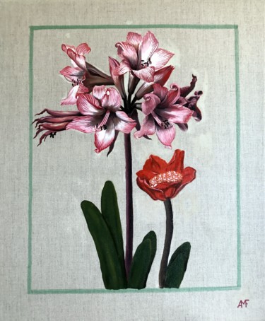 Amaryllis 3